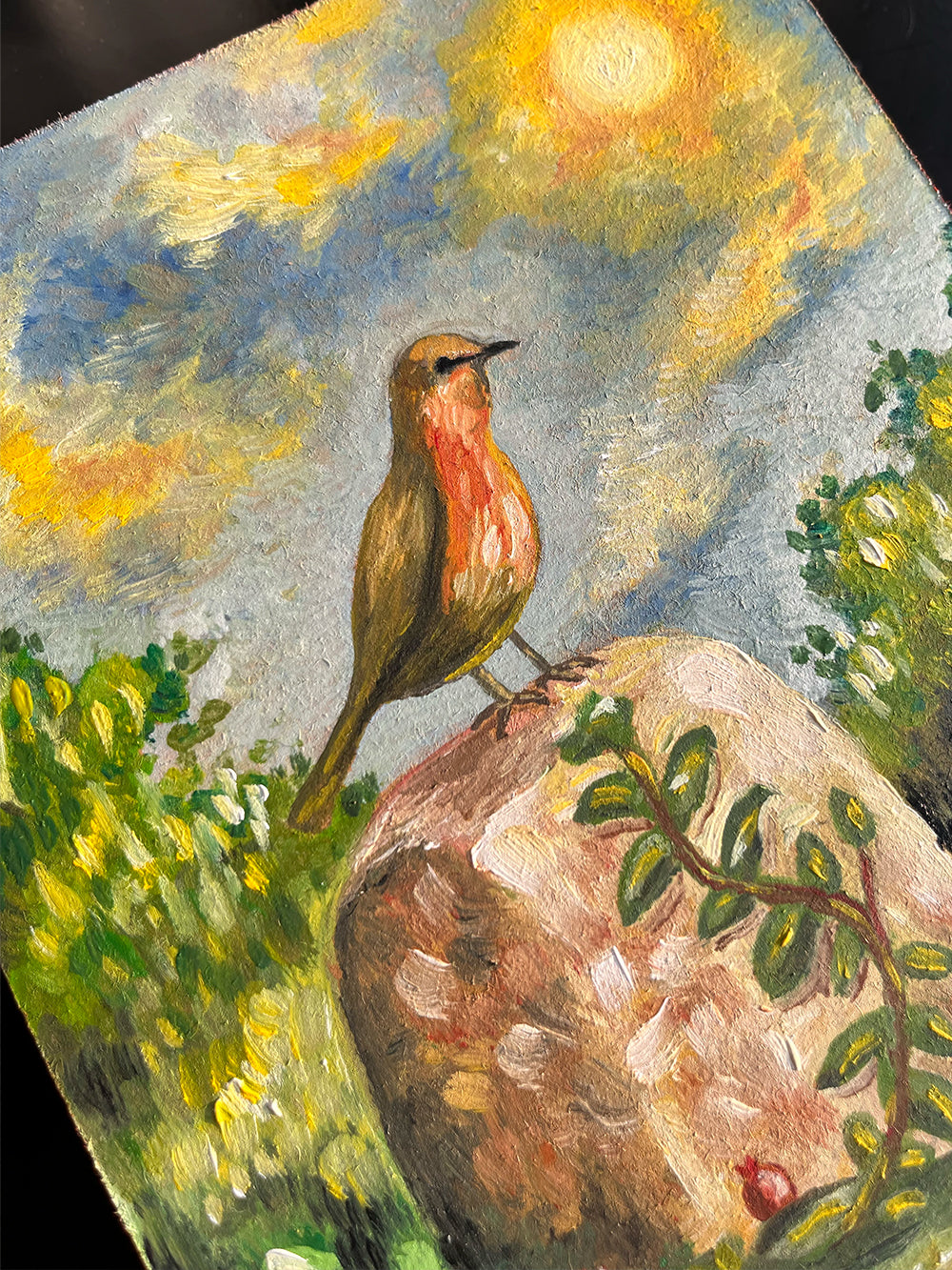 Bird Watching